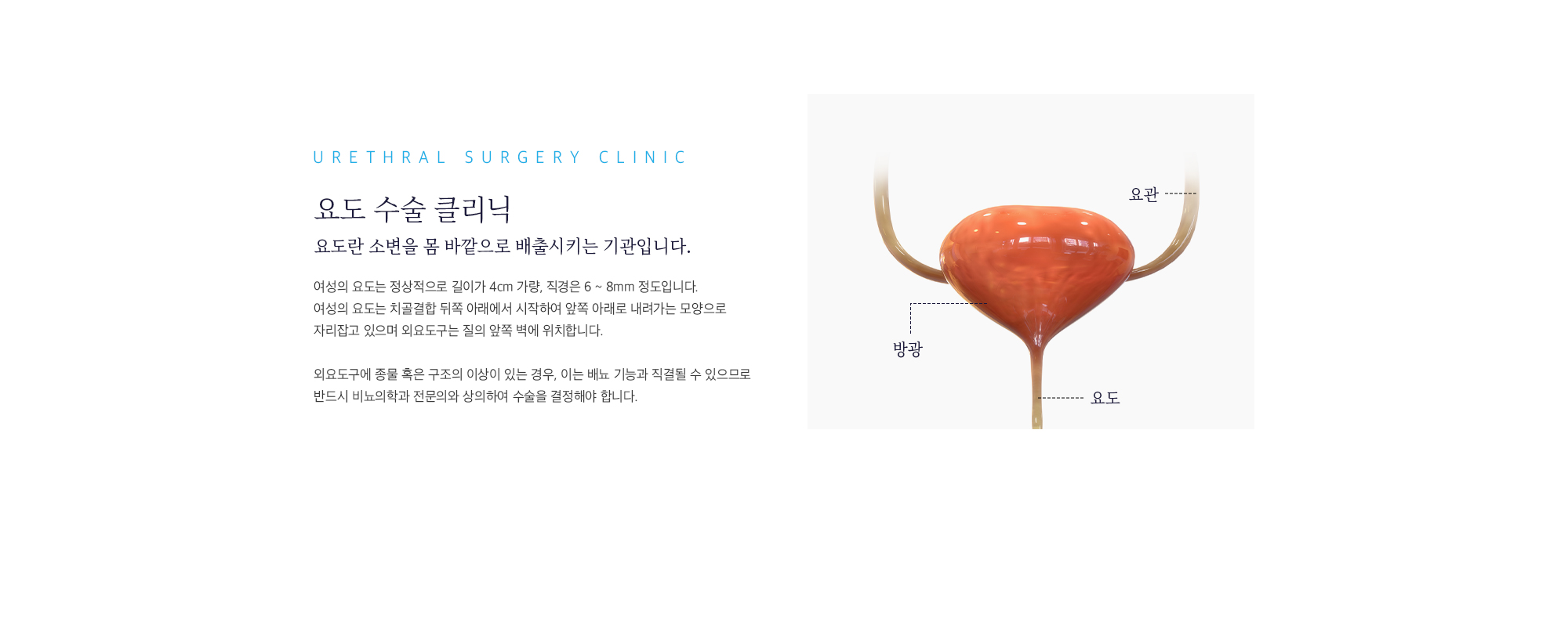 요도수술 클리닉